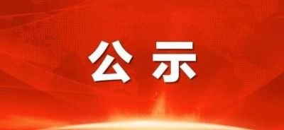 《湖北楚维药业有限公司高品质功能化学品生产项目环境影响报告书》报批前公示